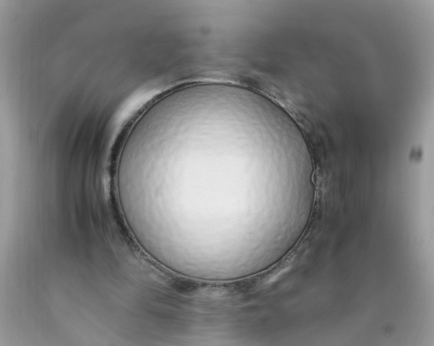 X0000089890294200707262236