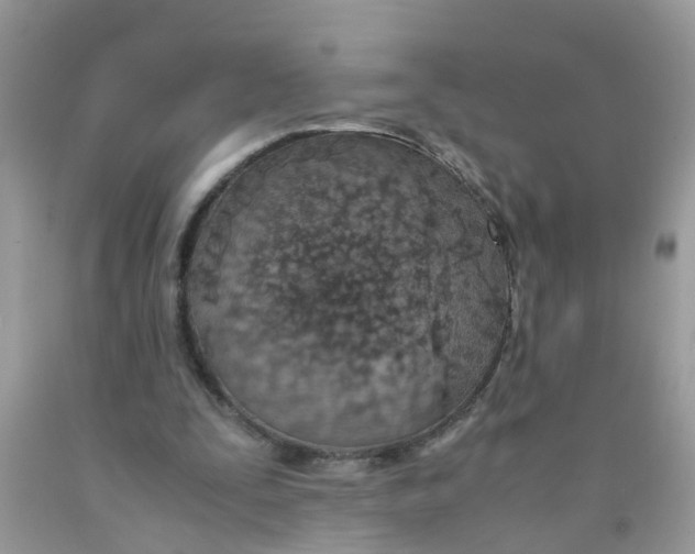 X0000089890295200707262236