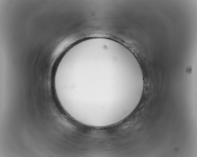 X0000089890296200707262236