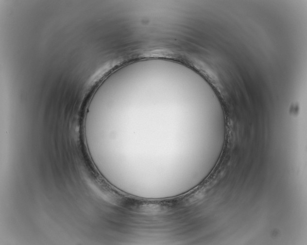 X0000089890298200707262236