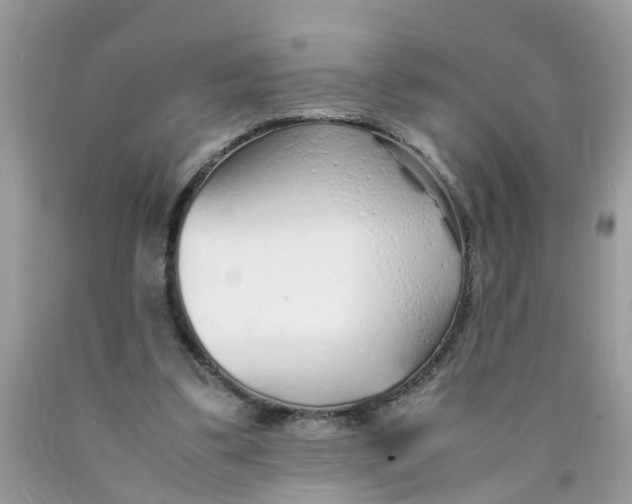 X0000089890299200707262236