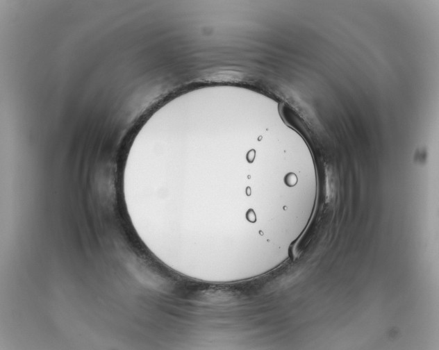 X0000089890300200707262236