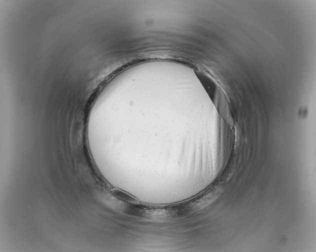 X0000089890301200707262236