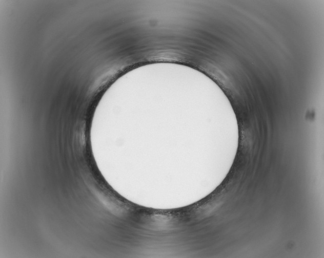 X0000089890302200707262236