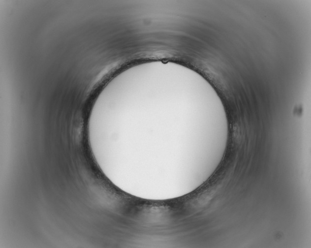 X0000089890304200707262236
