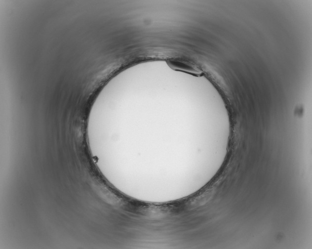 X0000089890305200707262236