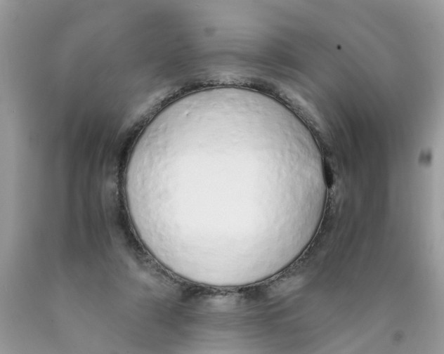 X0000089890306200707262236