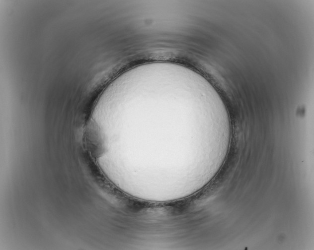 X0000089890307200707262236