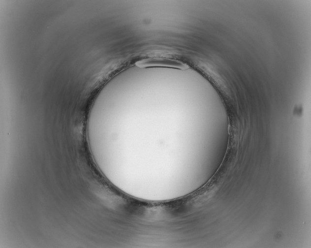 X0000089890309200707262236