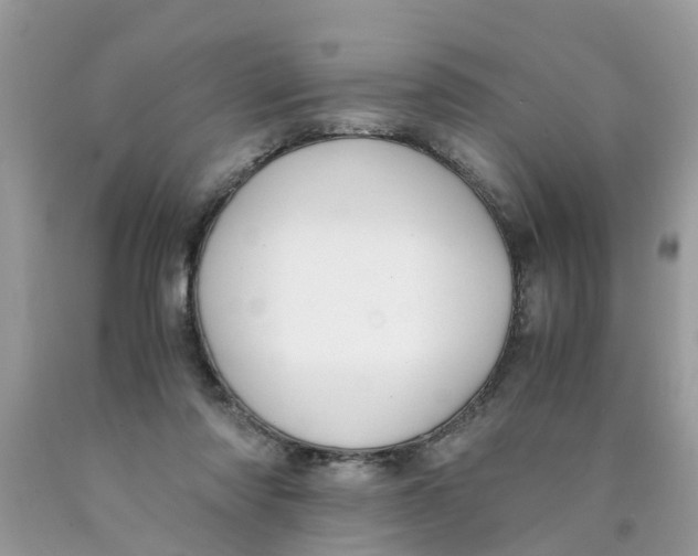 X0000089890310200707262236