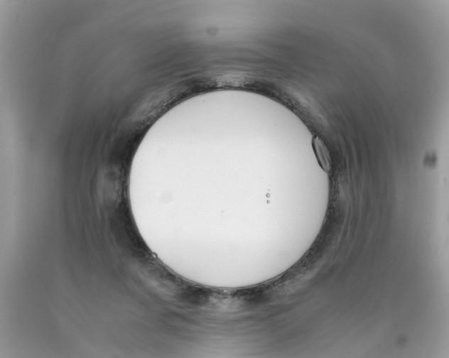 X0000089890311200707262236
