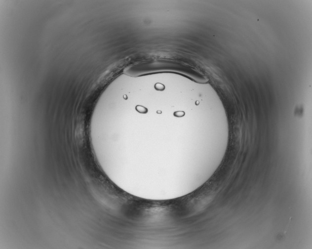 X0000089890312200707262235