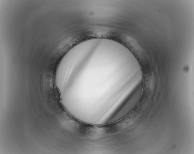X0000089890313200707262235