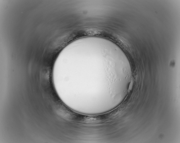 X0000089890315200707262235