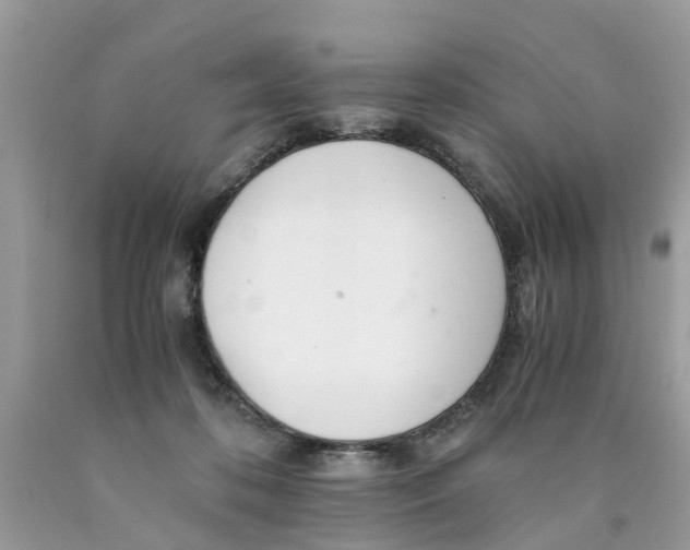 X0000089890316200707262235