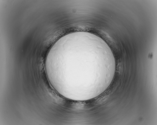 X0000089890318200707262235