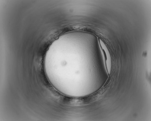 X0000089890319200707262235