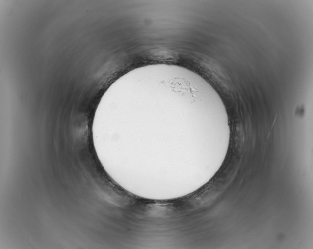 X0000089890320200707262235