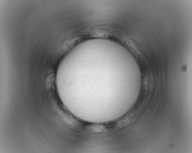 X0000089890322200707262235