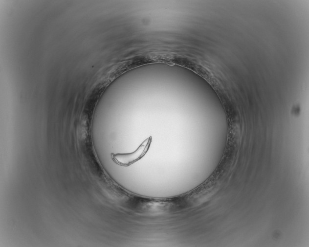 X0000089890323200707262235