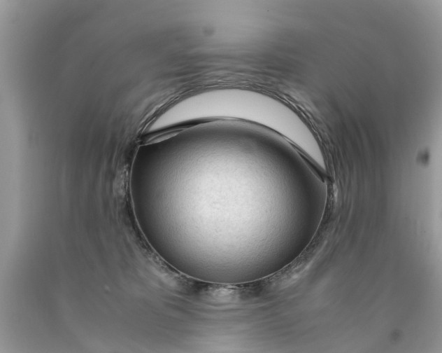 X0000089890325200707262235