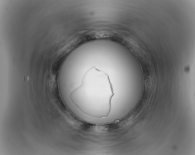 X0000089890327200707262235