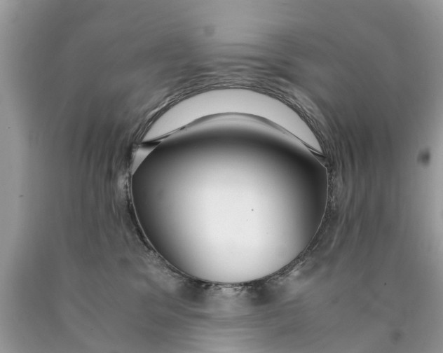 X0000089890329200707262235
