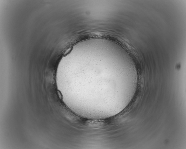 X0000089890331200707262235