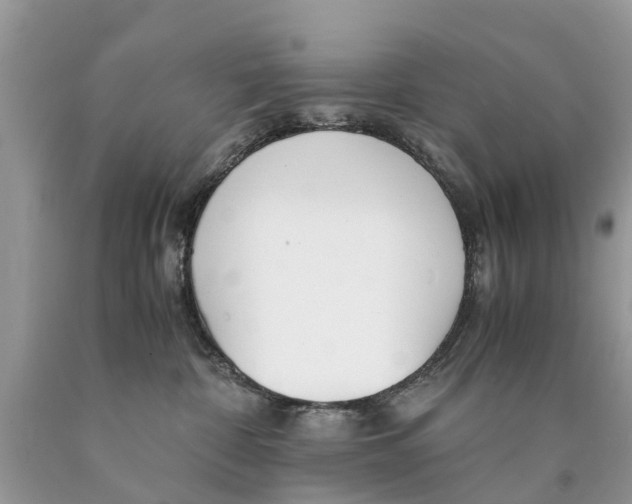 X0000089890332200707262235