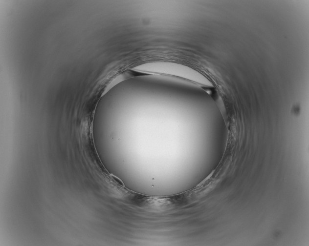 X0000089890333200707262235