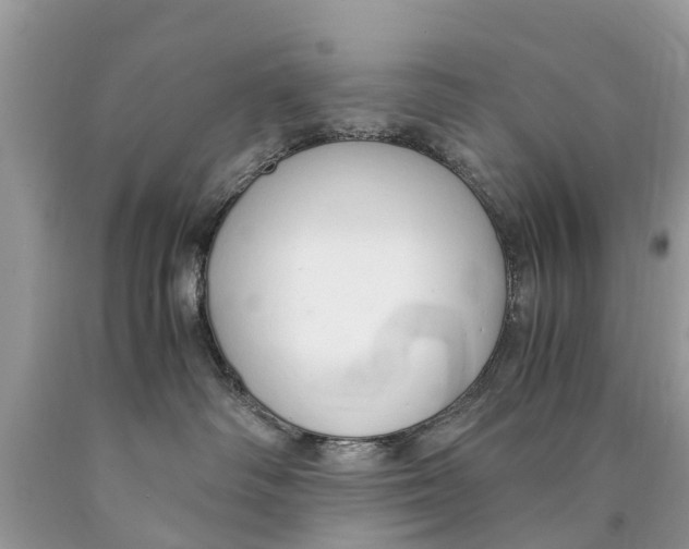 X0000089890334200707262235