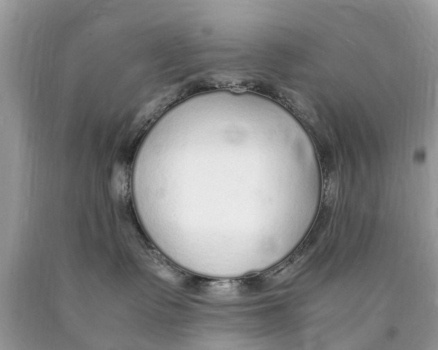 X0000089890335200707262235