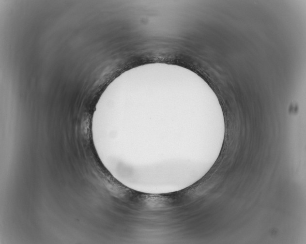 X0000089890336200707262235