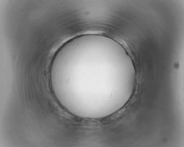 X0000089890337200707262234