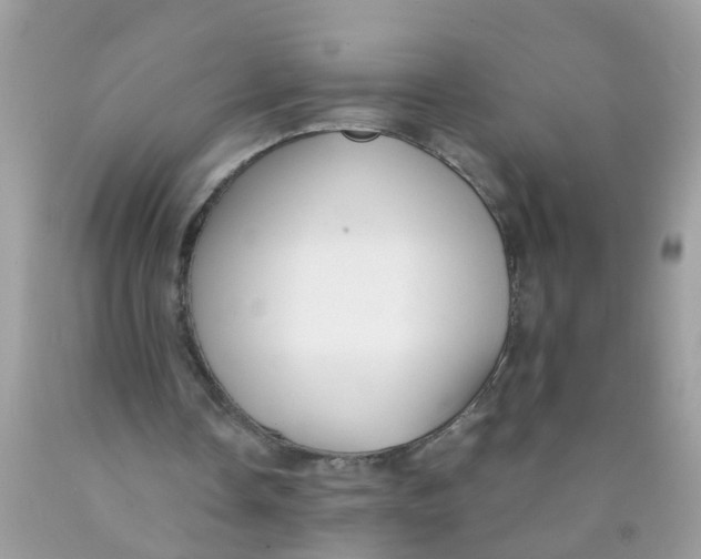 X0000089890338200707262234