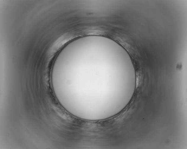 X0000089890339200707262234