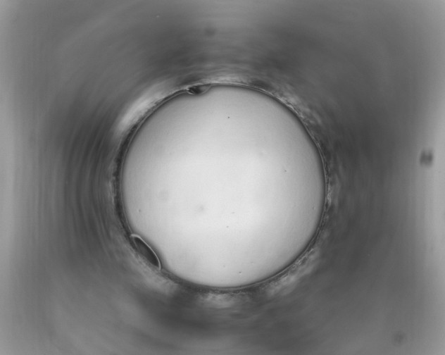 X0000089890341200707262234