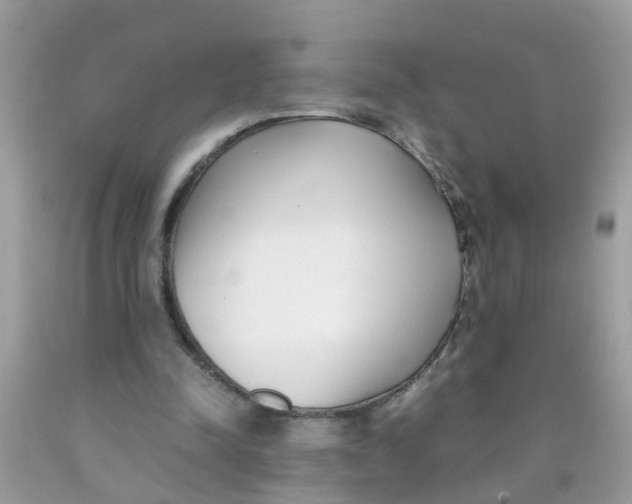 X0000089890342200707262234