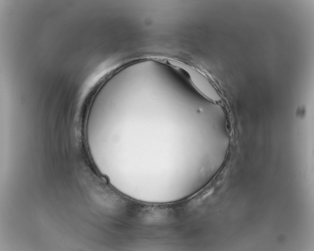 X0000089890343200707262234