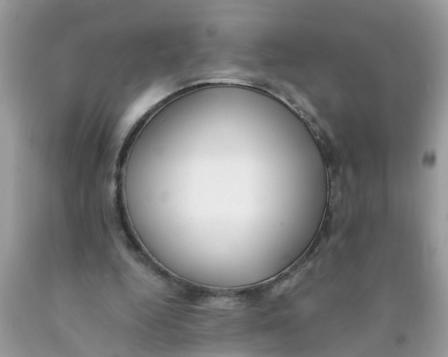 X0000089890344200707262235