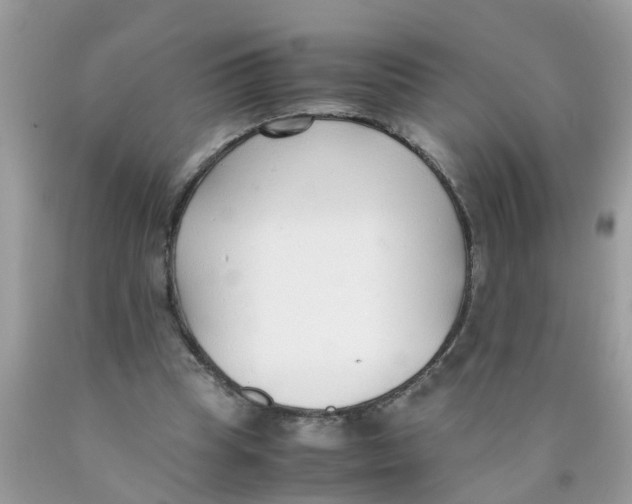 X0000089890345200707262235