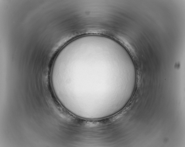 X0000089890346200707262235