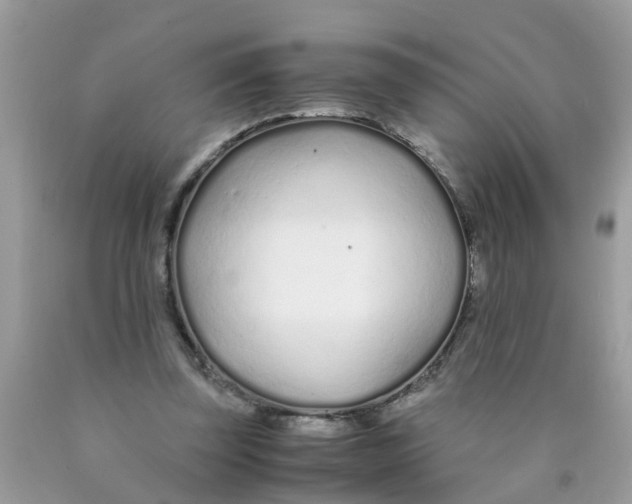 X0000089890347200707262235