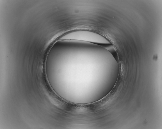 X0000089890348200707262235