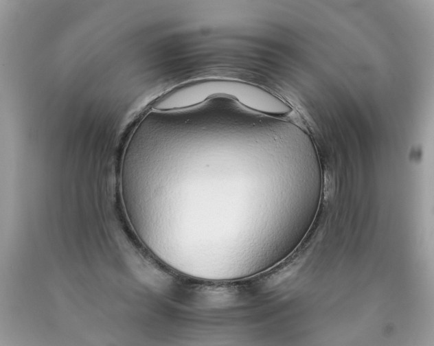 X0000089890349200707262235