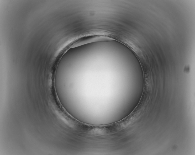 X0000089890350200707262235