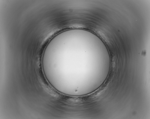 X0000089890351200707262235