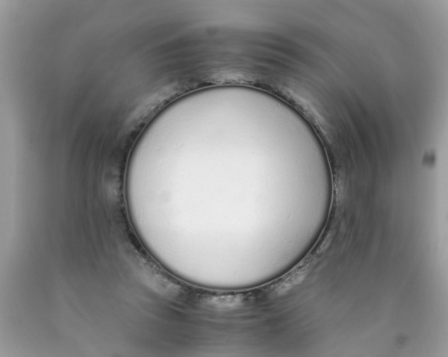 X0000089890353200707262235