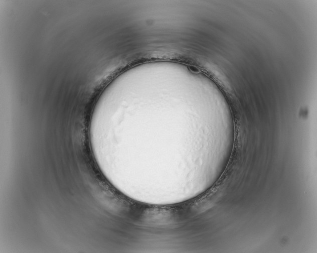 X0000089890354200707262235