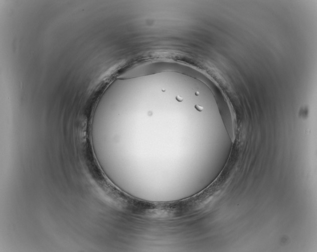 X0000089890356200707262235